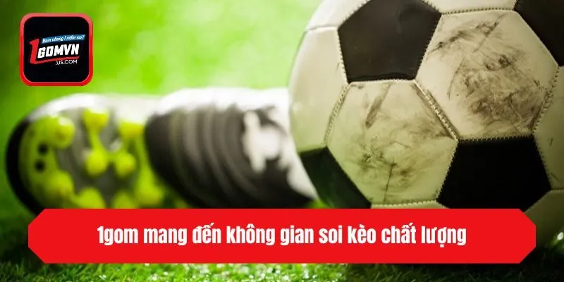 1gom mang đến không gian soi kèo chất lượng