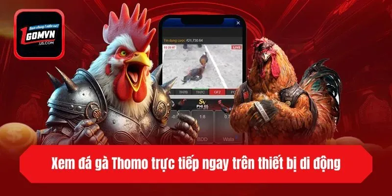 Xem đá gà Thomo trực tiếp ngay trên thiết bị di động
